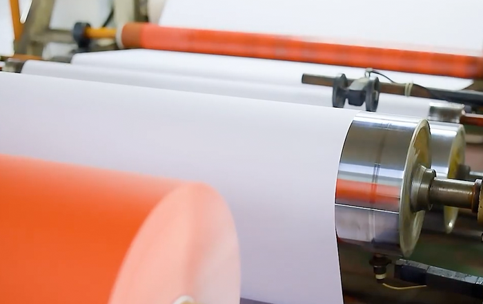 Jiaxing Xuanyi Commercio Internazionale Co.,Ltd