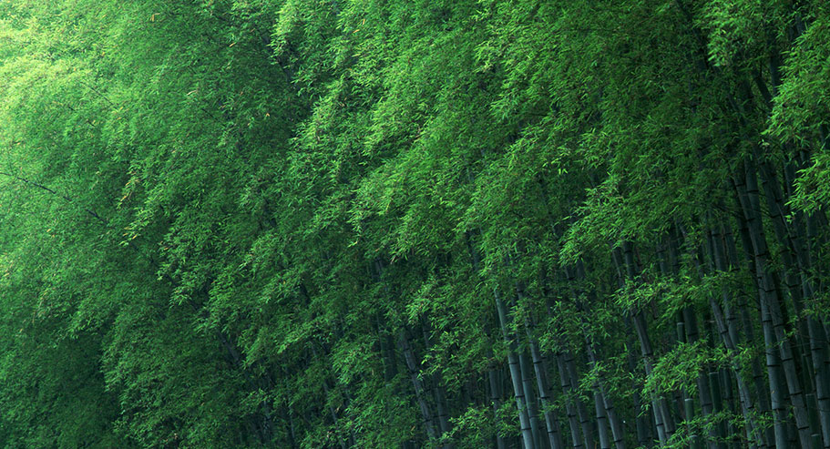 Jiaxing Xuanyi Commercio Internazionale Co.,Ltd